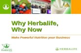 Why Herbalife Why Now - November