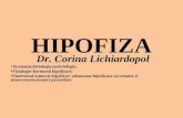 HIPOFIZA I