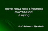 Cit.dos Líquidos Cavitários - Dr. Figueiredo (NOVO)