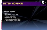 Sistem Hormon Biologi Klp 2