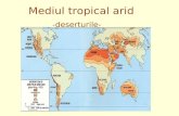 Referat Geografie-mediu Tropical Arid