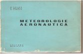 Meteorologie Aeronautica - Nicolae Topor