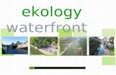 Ekologi Waterfront