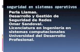 seguridad en sistemas operativos