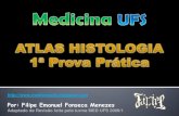 Atlas Histologia - Medicina UFS - 1ª Prova Prática