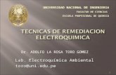 TECNICAS_ DE REMEDIACION ELECTROQUIMICA