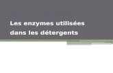 Enzymes Detergents 2011