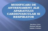 Modificari de Antrenament Ale Aparatului Cardiovascular Si Respirator