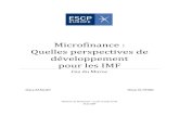 Memoire Micro Finance Maroc ESCP Europe