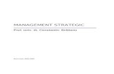 Management Strategic Suport Curs Bratianu