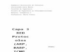 Capa 3 Red Protocolos (Arp, Rarp, Icmp, Igmp)