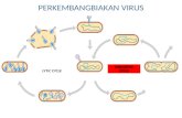 Biologi: Reproduksi Virus