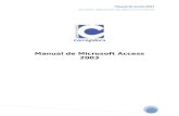 Manual de Microsoft Access 2003