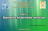 TEMA 11 Bacterias Anaerobias