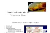 Embriologia de La Cavidad Oral