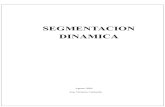 segmentacion dinamica