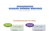 Diagnosis Gagal Ginjal Kronis