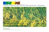 International Rice Research Notes Vol.24 No.1
