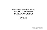 wireShark Kullanım Kılavuzu V1.0