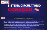 SISTEMA CIRCULATORIO - CORACAO