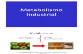 Metabolismo Industrial