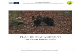 Plan de Management Muntiorul Ursoaia