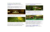 Zelda: Ocarina of Time 3d