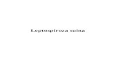 Leptospiroza suina