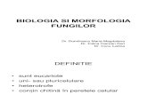 Biologia Si Morfologia Fungilor
