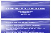 Contacts & Contours
