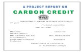 FINAL Project - Carbon Credit-SUNEET