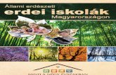 Állami erdészeti erdei iskolák Magyarországon