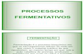 6256_processos fermentativos