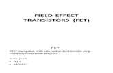 Field-effect Transistors (Fet)