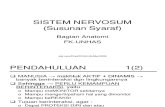 Sistema Nervosum jil 06