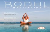 BODHI MEDITATION ENGLISH MAGAZINE Spring 2011.Vol.1 No.1