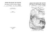 J. W. Goethe-Bajka o Zelenoj Zmiji i Lepoj Ljiljani