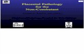 Placental Pathology for the Non Combatant