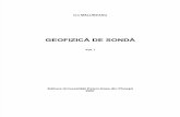 Curs - Geofizica de Sonda - Ion_Malureanu