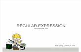 20111214 10.Regular Expression.teori