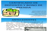Certificado de Deposito y Bono de Prenda