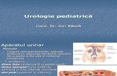 Curs Urologie