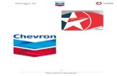 54823717 Chevron or CALTEX Report