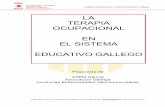 La Terapia Ocupacional en El Sistema Educativo Gallego