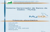 Sistema Gerenciador de Banco de Dados - MySQL