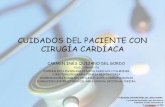 Cuidados Del Paciente Con Cirugia Cardiaca