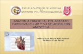 anestesiologia sistema cardiovascular