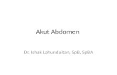 1. Bedah - Dr. Ishak G. Lahunduitan, SpB, SpBA - EDITED - Akut Abdomen