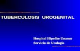 TBC urogenital