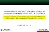 From Genes to Proteins: Multiplex Assays for Studying Gene Regulation and Cell Function